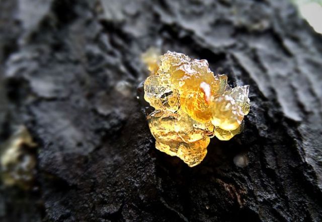 变美还是变胖？那些年你为了“胶原蛋白”而花的冤枉钱