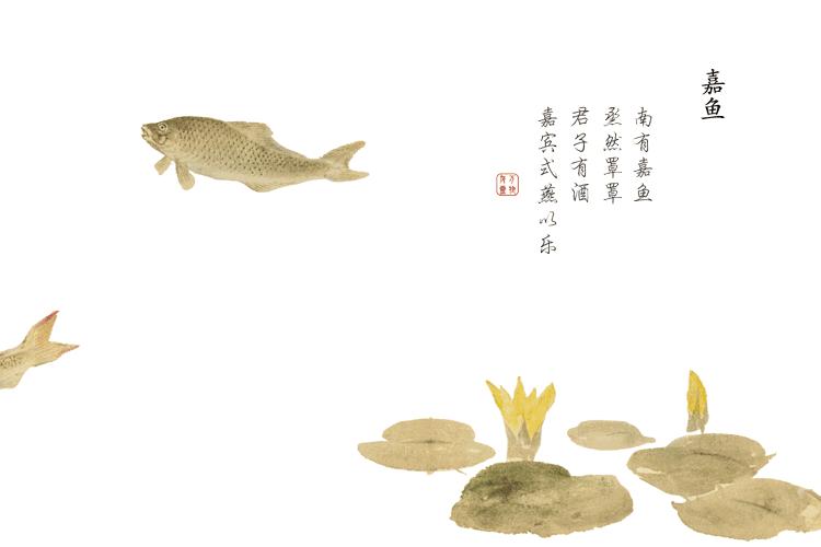 诗经中最唯美的名字,王姓女孩诗经中最唯美的名字