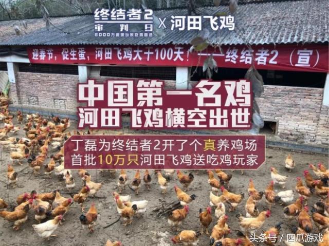 终结者2开养鸡场,终结者开养鸡场