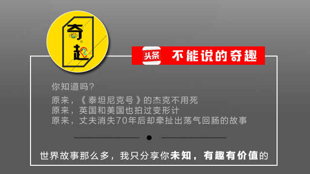 20美元被买下带回*队军**，50年后它成为红遍全球的小熊维尼