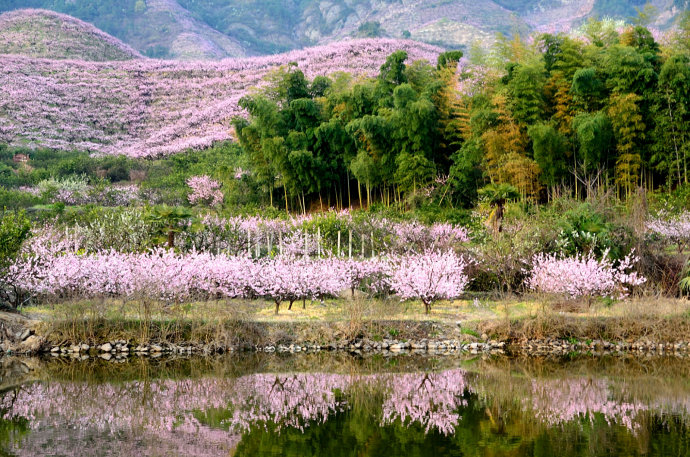 2018年浙江地方景点旅游日历大合集！含杭州，建德，温州，金华！