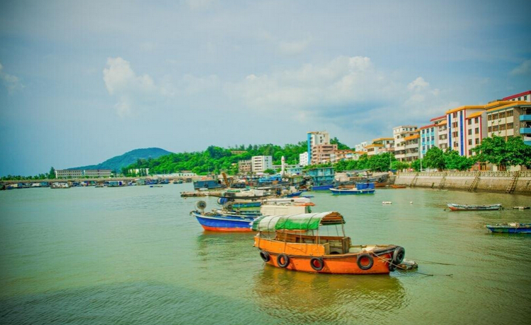 江门小鸟的天堂旅游攻略,江门小鸟天堂附近免费游玩的地方