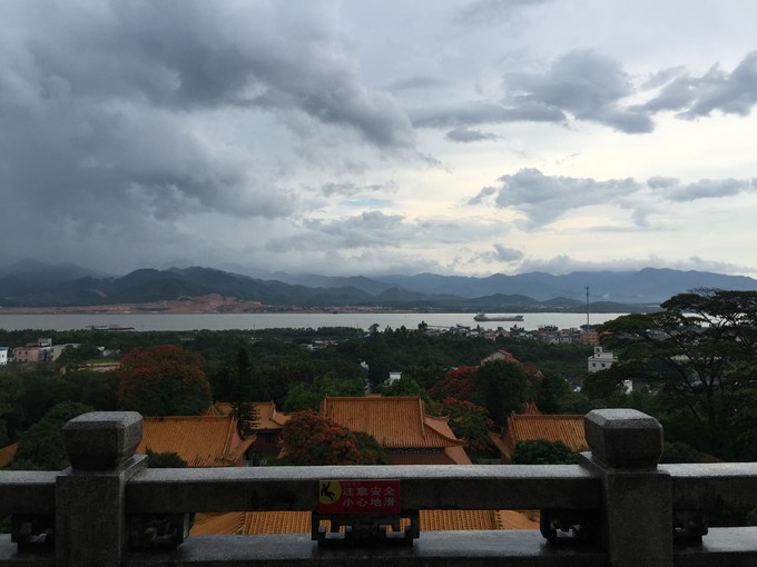 江门小鸟的天堂旅游攻略,江门小鸟天堂附近免费游玩的地方