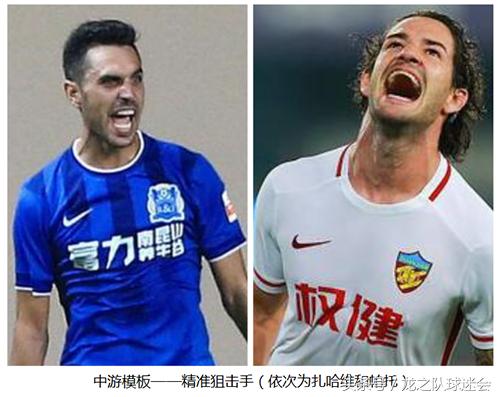 申花新援特维斯,特维斯在申花的评价