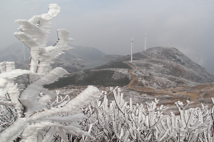 2018年浙江地方景点旅游日历大合集！含杭州，建德，温州，金华！