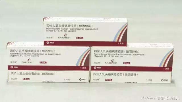 四价HPV疫苗进驻威海，接种地点在这