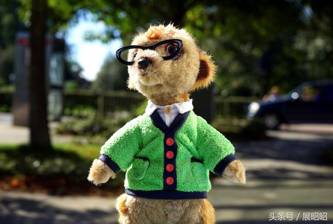 合肥小升初考奥数,小升初怎么报考学校合肥