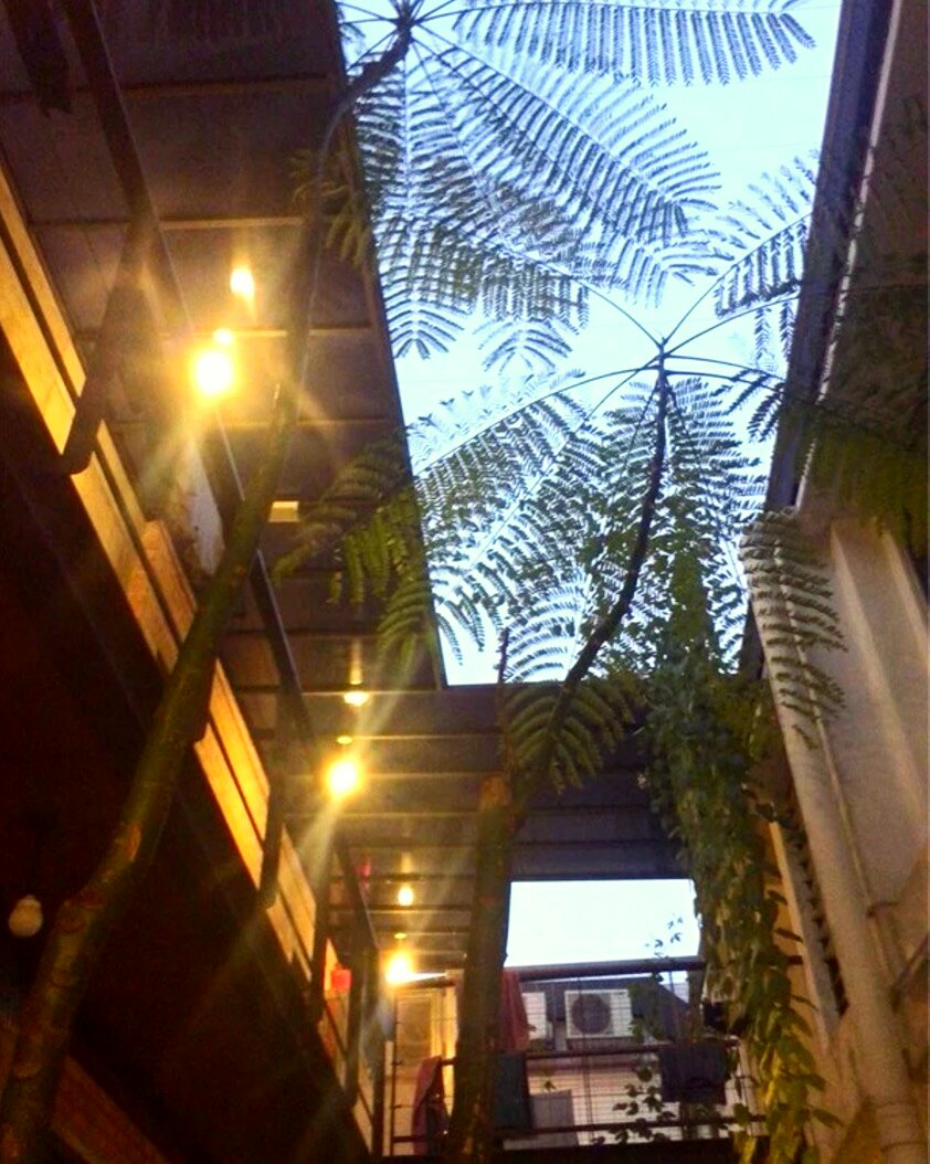 空白护照出国攻略,白本护照攻略