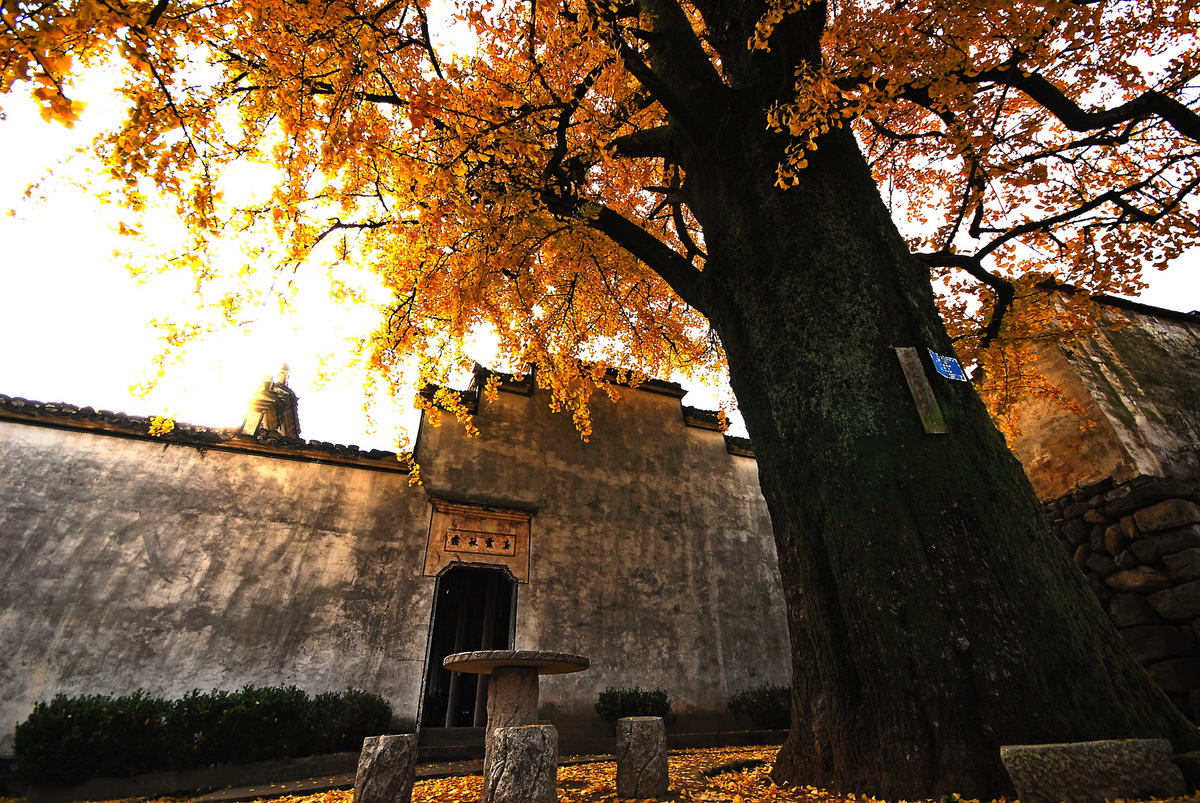 2018年浙江地方景点旅游日历大合集！含杭州，建德，温州，金华！