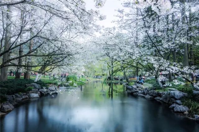 2018年浙江地方景点旅游日历大合集！含杭州，建德，温州，金华！