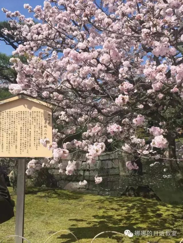 去日本扫货必买清单,日本有什么东西值得买