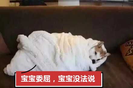 古代的人做了哪些愚蠢的事,古人的弱智操作