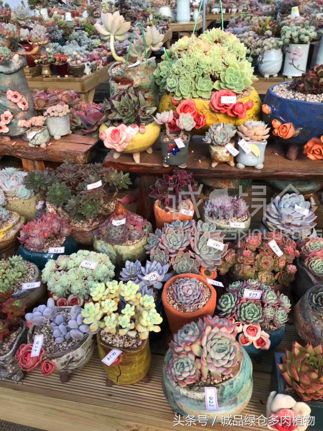 满足你对的所有幻想,满足你对生活所有的想象