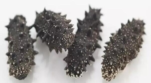 你知道世界上的鱼类有多少个,你知道的海底世界有多少种鱼