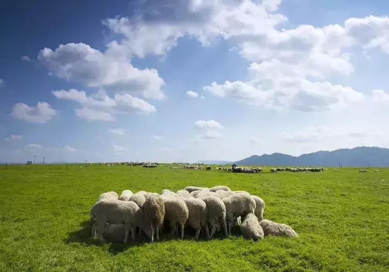 世界春城排行榜中国8城市入围,贵州黔西南是几线城市