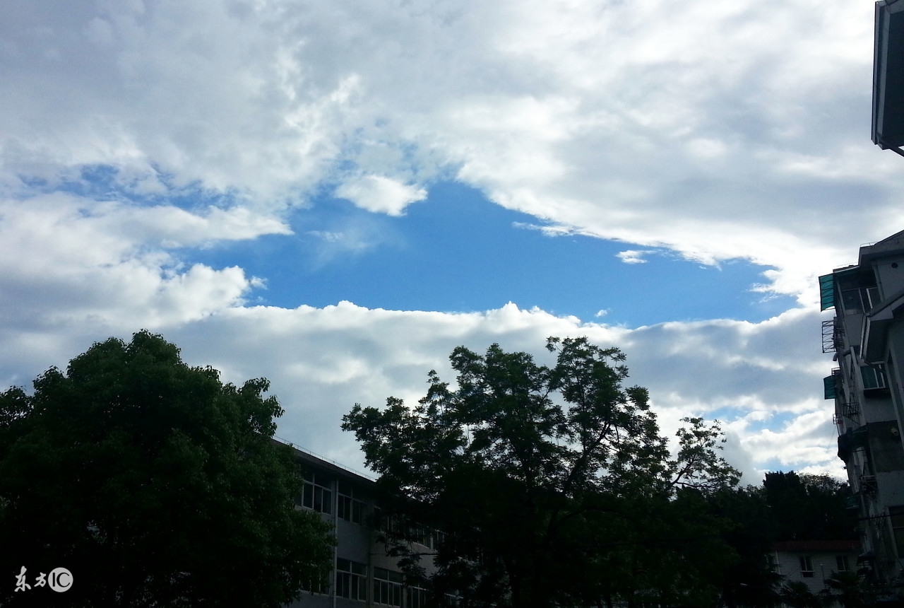 鹿邑吧,鹿邑吧最新视频