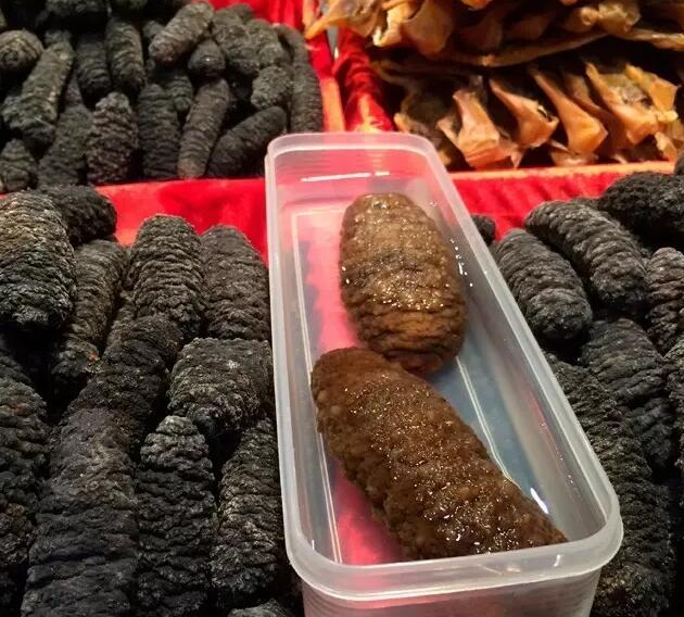 带您了解世界海参,你知道全球有多少种鲨鱼吗