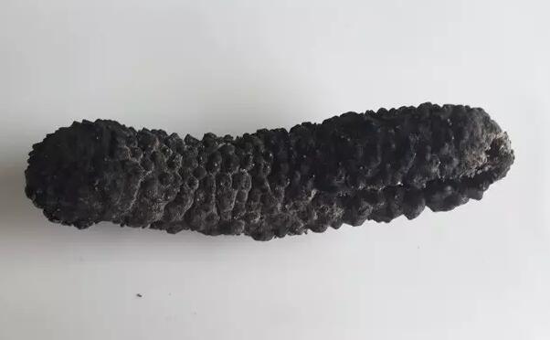 你知道世界上的鱼类有多少个,你知道的海底世界有多少种鱼