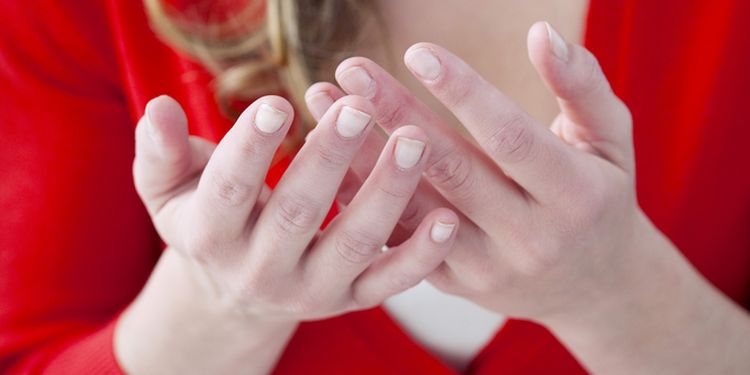 国医大师健康长寿的秘诀,国医大师教您如何养生健康长寿