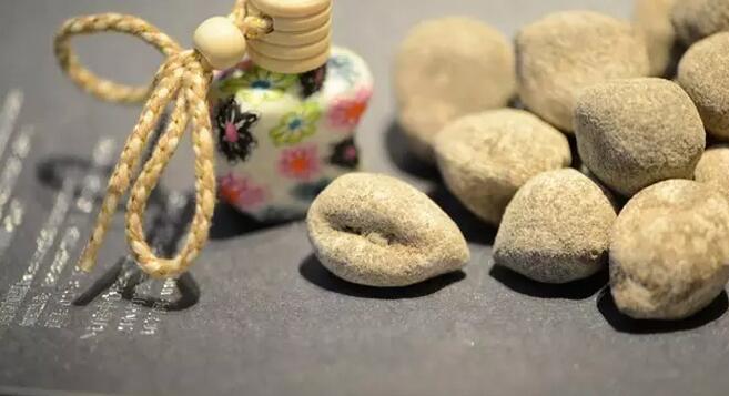 你知道世界上的鱼类有多少个,你知道的海底世界有多少种鱼