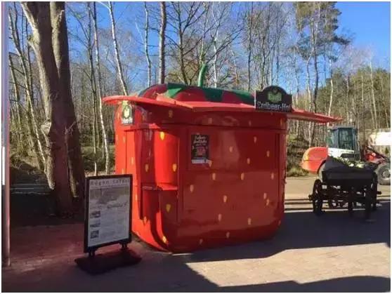 迪士尼农业采摘园,德国的草莓主题乐园