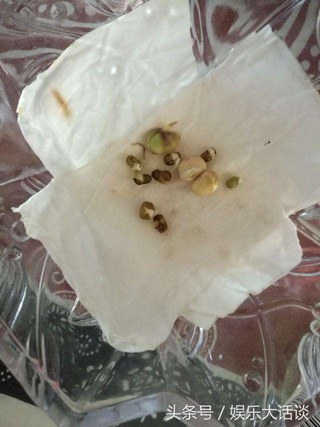 会咬人的狗有什么特征,摸狗的哪些部位会咬人