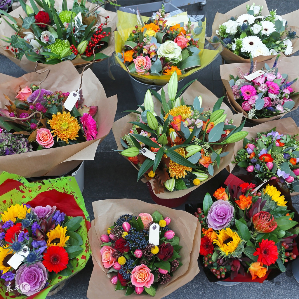 临沂低成本创业项目商机,有哪些低成本创业项目适合年轻人