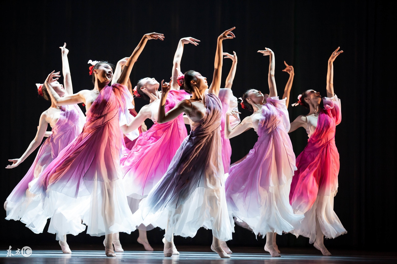 哈尔滨师范大学舞蹈系好考吗,哈尔滨市师范大学艺术生招生简章