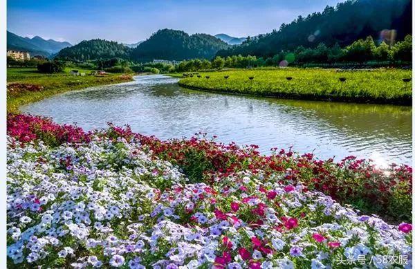 旅游+扶贫，榨菜之乡走出致富新路径！