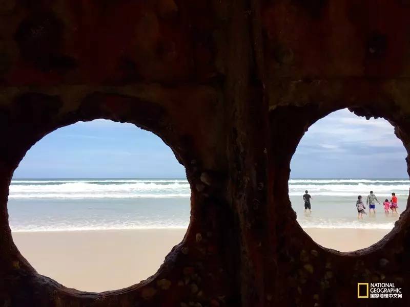 FraserIsland|快来全世界最大的沙岛上撒把野
