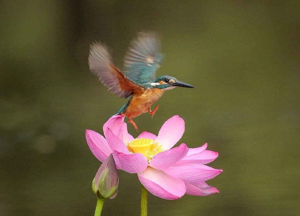 把你的心走过的路，说出来，就是诗啊
