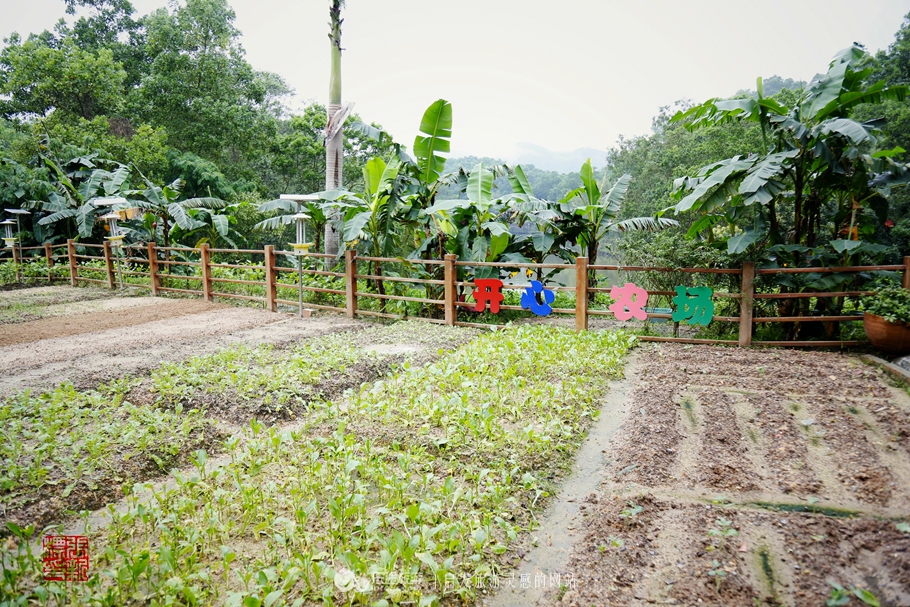观澜湖简介,深圳观澜湖一整圈有几公里