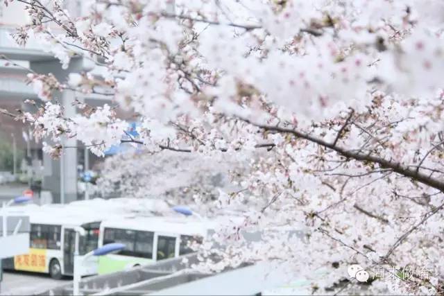 魔都最值得逛的76条马路,你都逛过了吗?