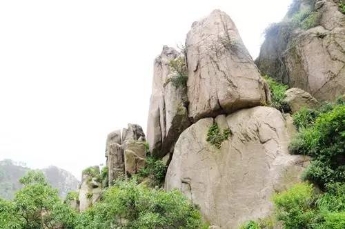 青岛海军节景点免费,青岛旅游景点免费政策