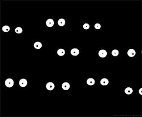 日本海淘1000内要交税么,海淘要运费吗