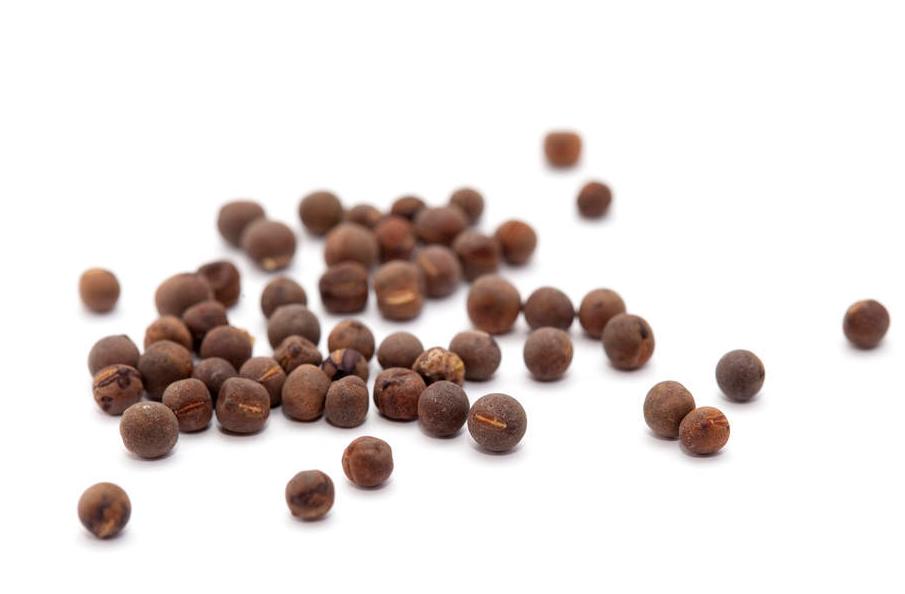 在网上买盆栽买什么好,盆栽是进货好还是自己种