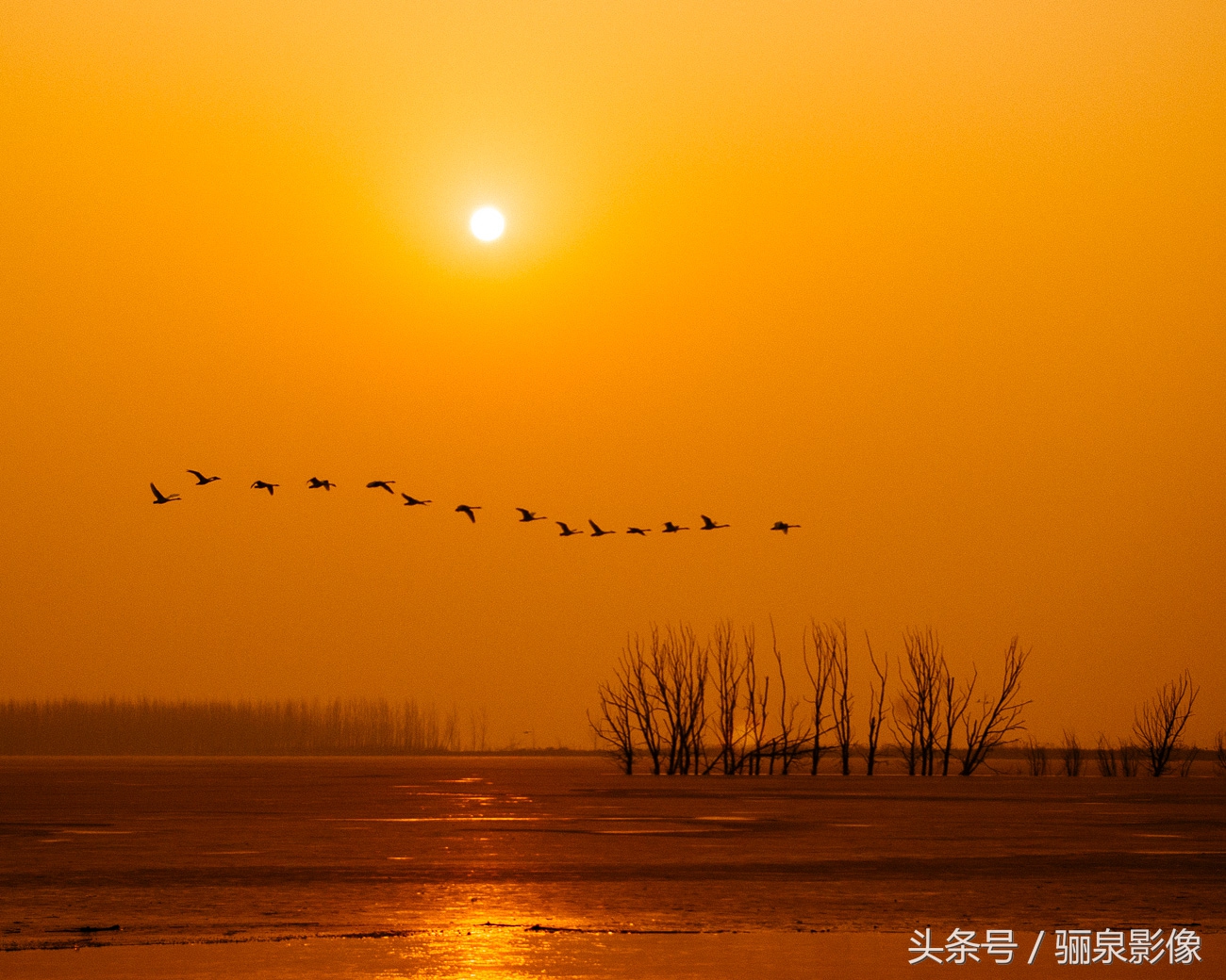 宾得相机推荐型号有哪些,宾得的相机怎么样