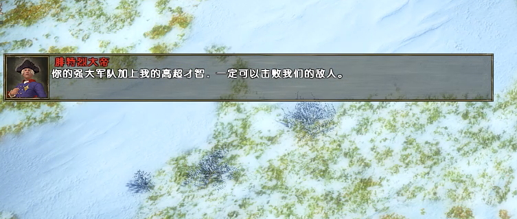 即时战略游戏帝国时代四,即时战略游戏帝国