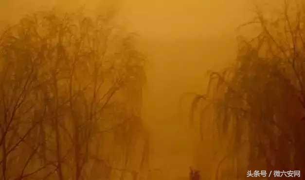 请回答80后完整版,请回答1988完整版