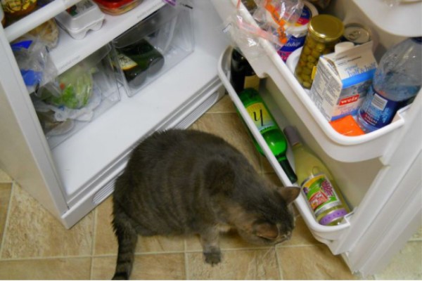 为什么红酒可以隔夜喝呢,为什么红酒能横放白酒不行