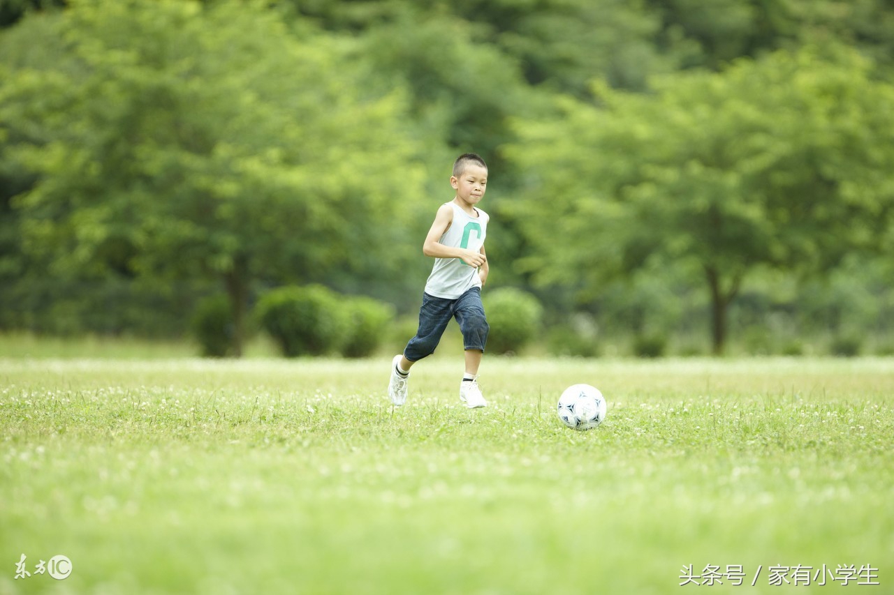 通过人物描写体会人物心情,小学语文作文人物描写评语