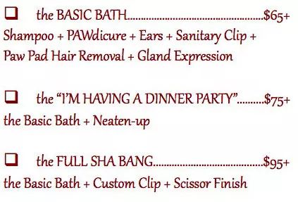 当狗炫起富来根本没人什么事儿了