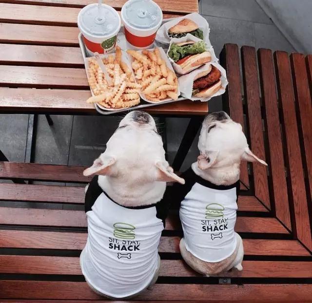 绉戝鍋ュ悍楂樻晥鍏荤墰鏂规硶,鍋ュ悍绉戝鍏荤墰