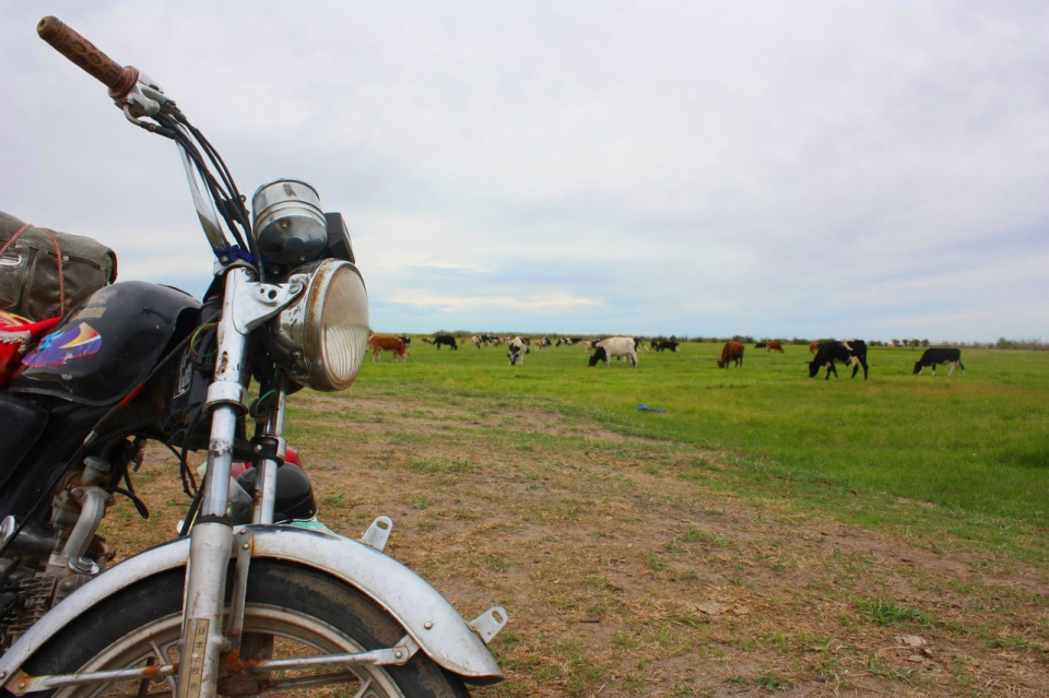 为了看一场正宗俄罗斯热舞表演，我们千里迢迢地来到了满洲里