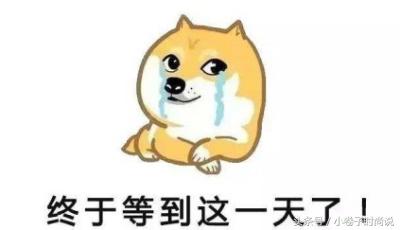 奢侈大牌的狗年限定款,最美的都在这里了