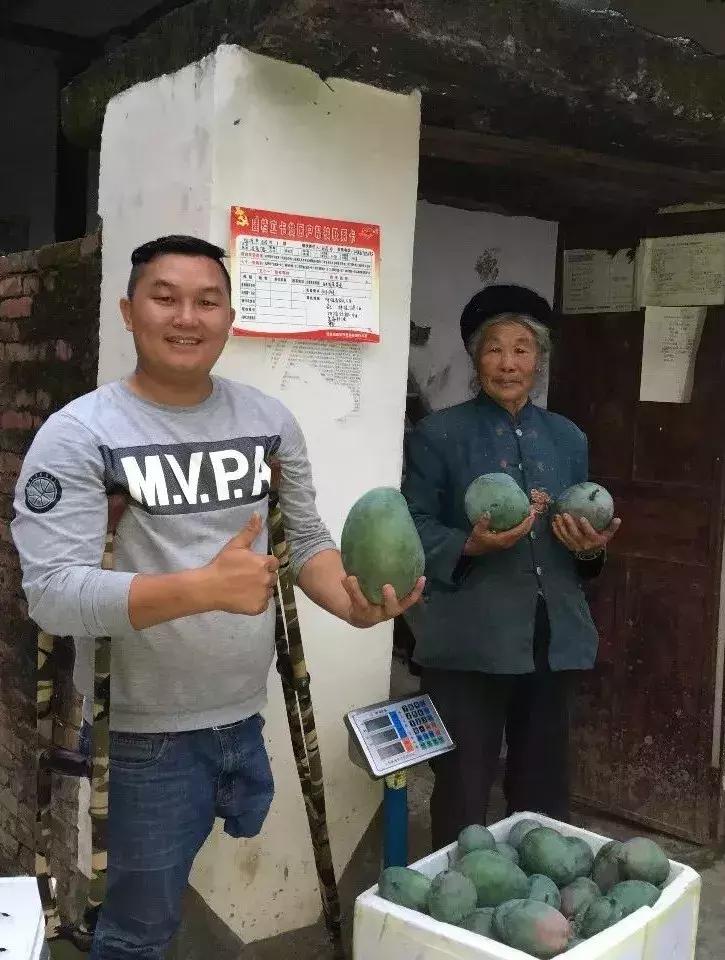 凉山州青年创业总决赛,创业大赛投票