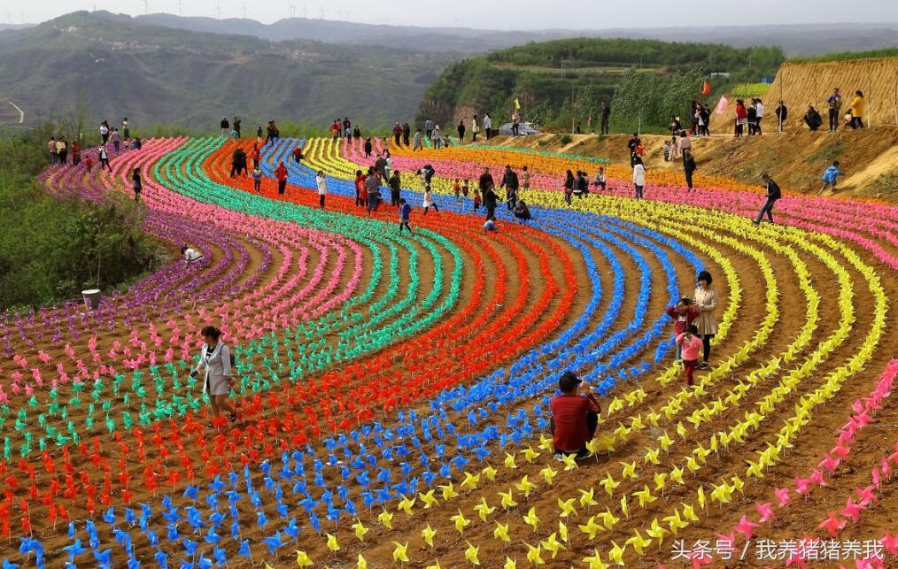 2019年可以申报的农业项目,2018下半年农业项目申报