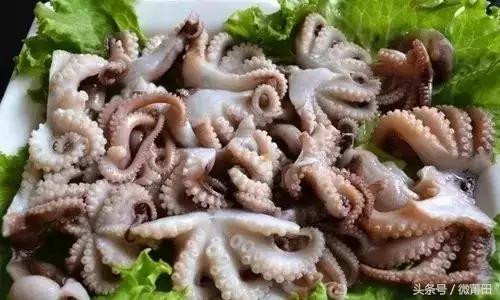 这是我的家乡闽南语,这是我的家乡全部视频