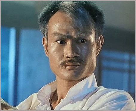 2008年吴京知名度,吴京知名度有多高