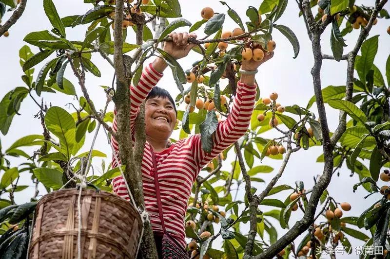 这是我的家乡闽南语,这是我的家乡全部视频